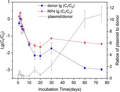 Fate of Antibiotic Resistant Pseudomonas putida and Broad Host Range Plasmid in Natural Soil Microcosms